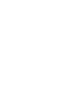 White and grey passport icon