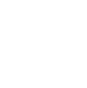 White and grey house icon