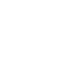 White and grey house icon